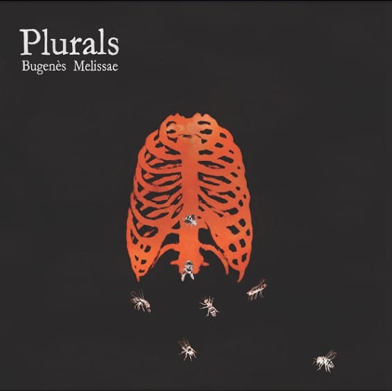 Plurals – Bugenès Melissae