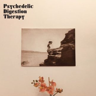 Psychedelic Digestion Therapy – Psychedelic Digestion Therapy