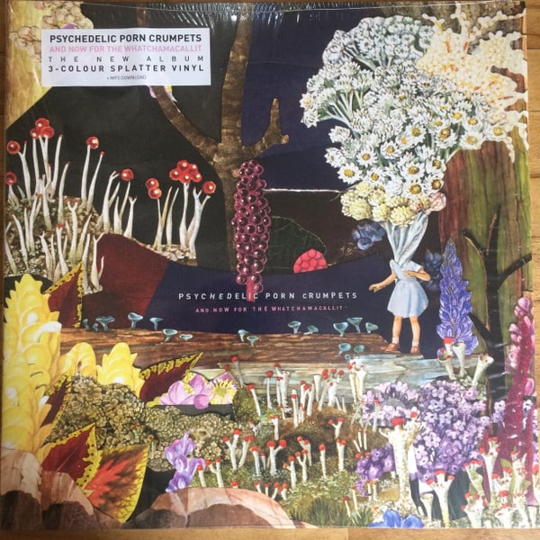Psychedelic Porn Crumpets – And Now For The Whatchamacallit