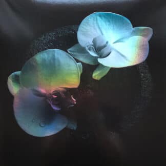 Mike Patton, Jean-Claude Vannier – Corpse Flower