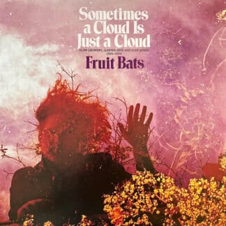 Sometimes a Cloud is Just a Cloud : Slow Growers, Sleeper Hits and Lost Songs (2001 - 2021
