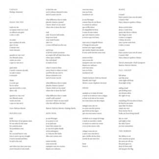 Rodrigo Amarante – Cavalo