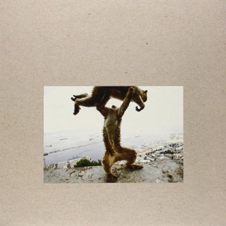 Shellac – Dude Incredible