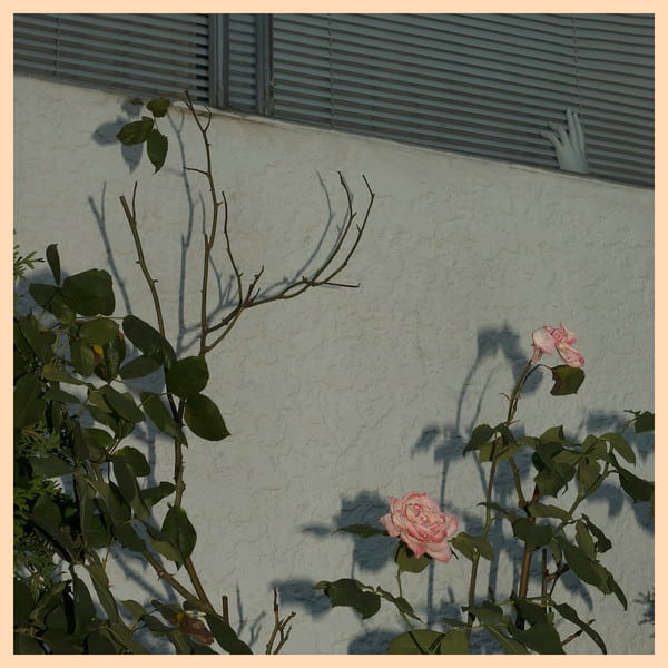 Soft Kill – Savior