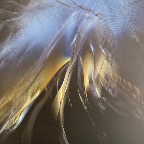Son Lux – At War With Walls And Mazes