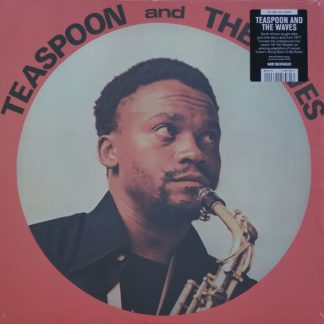 Teaspoon Ndelu – Teaspoon & The Waves