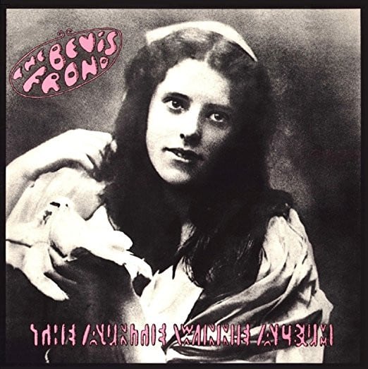 The Bevis Frond – The Auntie Winnie Album