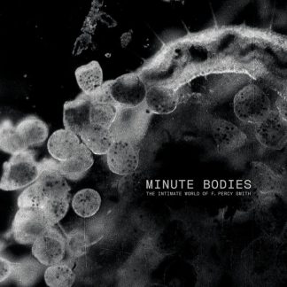 Tindersticks – Minute Bodies – The Intimate World Of F. Percy Smith