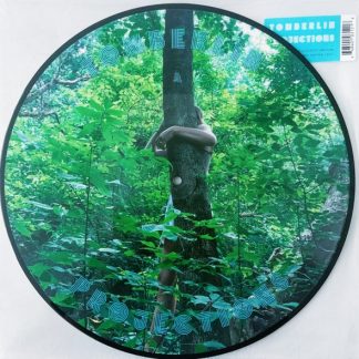 TOMBERLIN – Projections