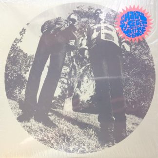 Ty Segall – Hair