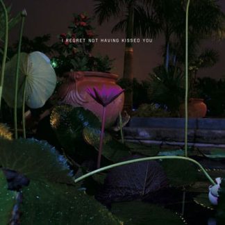 Various – I Regret Not Having Kissed You