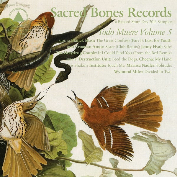 Various – Todo Muere Volume 5
