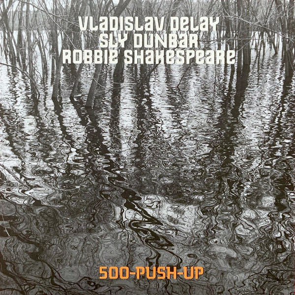 Vladislav Delay – 500-Push-Up
