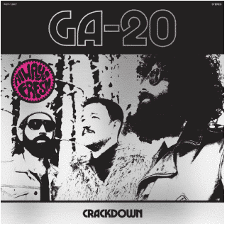 GA-20 CRACKDOWN
