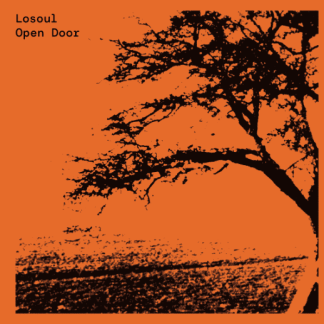 Losoul Open Door