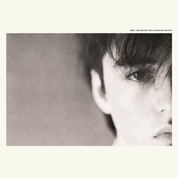– – – Crumbling The Antiseptic Beauty