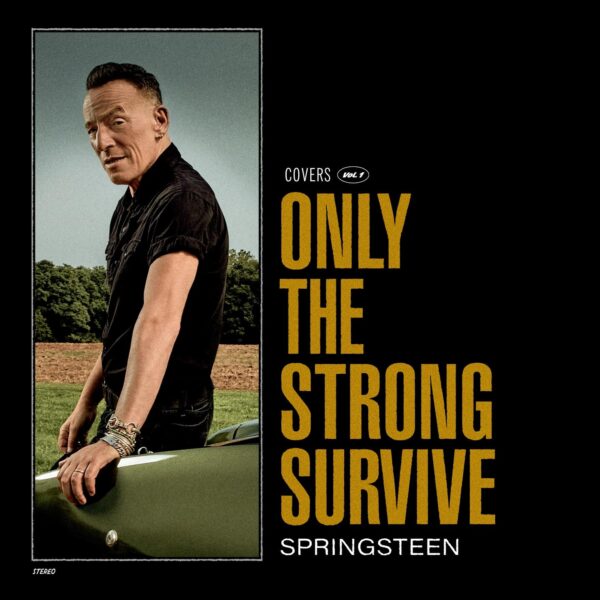 BRUCE SPRINGSTEEN The Strong Survive 0196587565725