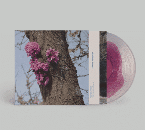 Duval Timothy Meeting With A Judas Tree