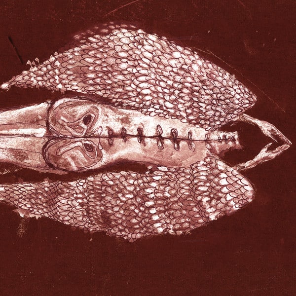 CERBERUS SHOAL – CERBERUS SHOAL – HOMB