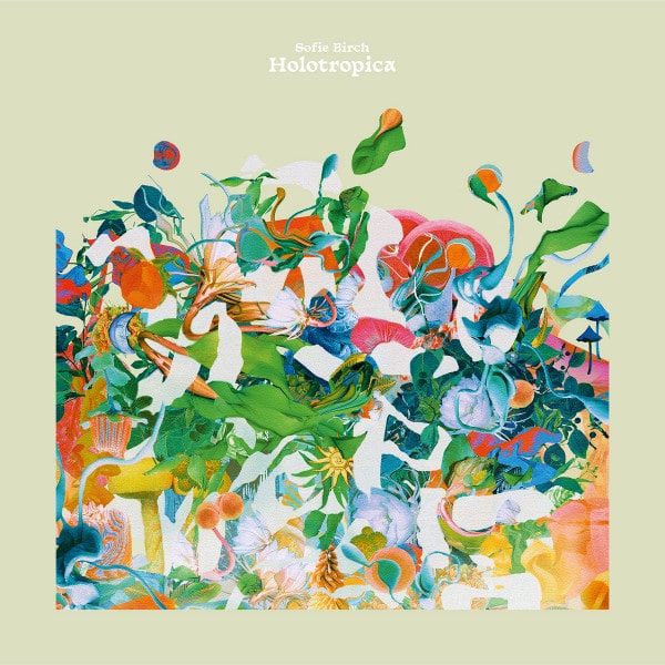 – – Holotropica