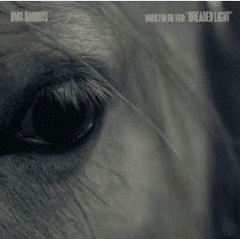 BMX BANDITS MUSIC FOR THE FILM DREADED LIGHT