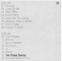 SYLVAN ESSO No Rules Sandy