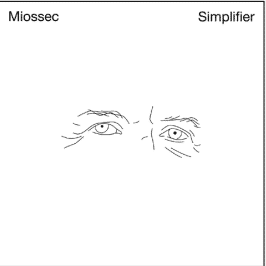 Miossec Simplifier