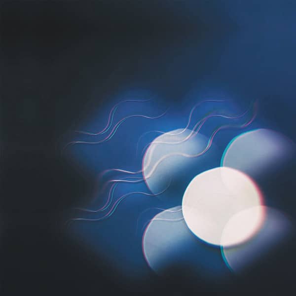 – – Thunder Follows The Light