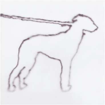 Jonah Yano portrait of a dog