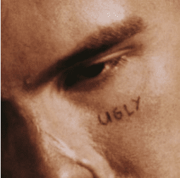 SLOWTHAI Ugly