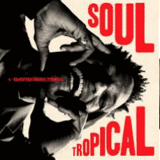DAVID WALTERS SOUL TROPICAL