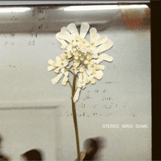 DAUGHTER Stereo Mind Game