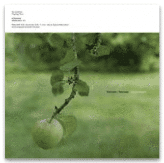 OZMOTIC & FENNESZ
