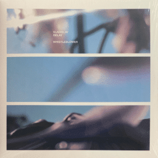 Vladislav Delay – Whistleblower