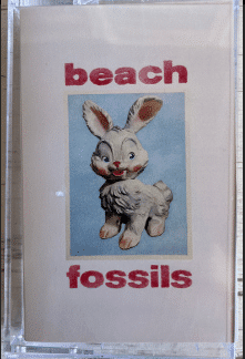 Beach Fossils – Bunny