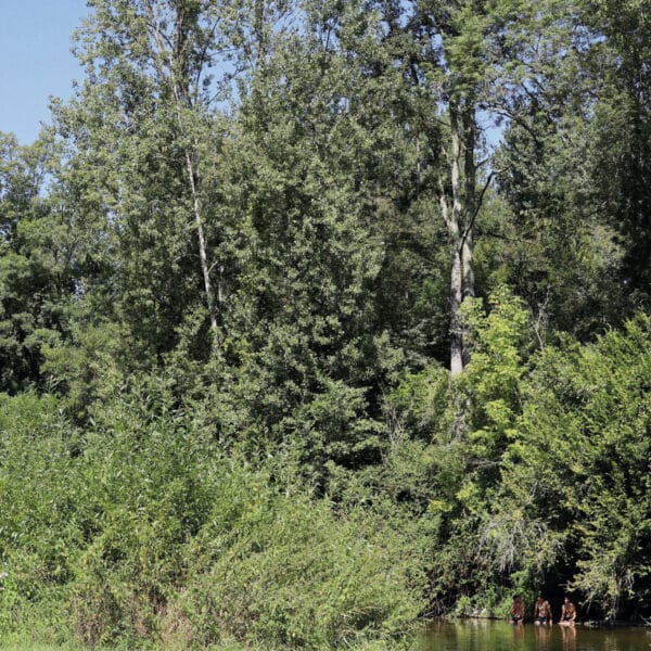 FRANCE SAUVAGE Où les observer, savoir les reconnaître