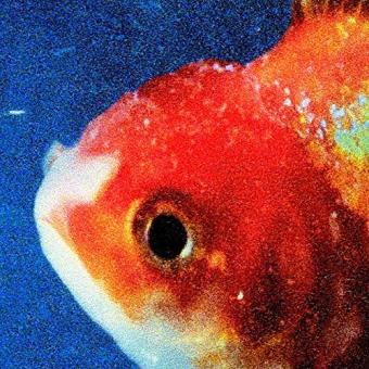 Big Fish Theory (2LP picture disc)