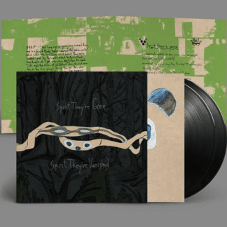 ANIMAL COLLECTIVE “SPIRIT THEY’RE GONE, SPIRIT THEY’VE VANISHED (2023 REMASTER)”