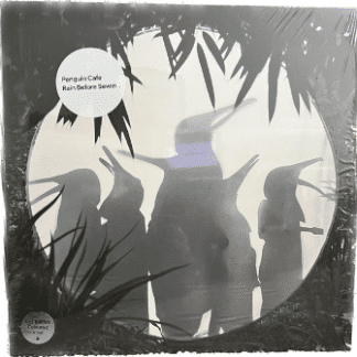 Penguin Cafe – Rain Before Seven...