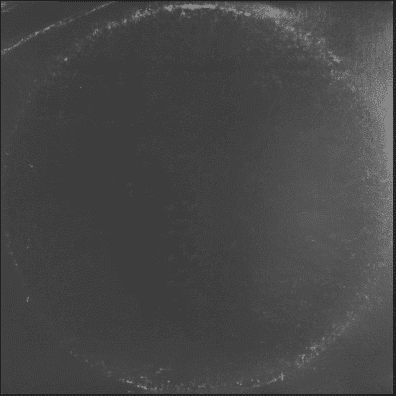 Triángulo de Amor Bizarro – oɹɹɐzıqɹoɯɐǝpolnƃuɐıɹʇ