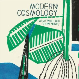 Modern Cosmology · What Will You Grow Now? (LP) (2023)