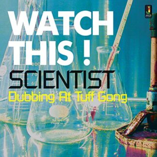 Scientist - Watch This' Dubbing at Tuff Gong