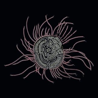 Ka Baird · Bearings: Soundtrack For The Bardos (LP) (2024)