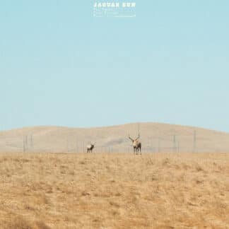 For You (LP color)