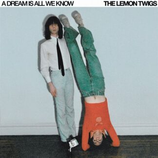 The Lemon Twigs: A Dream is All We Know (LP)