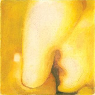 SMASHING PUMPKINS / PISCES ISCARIOT - The Grooveyard