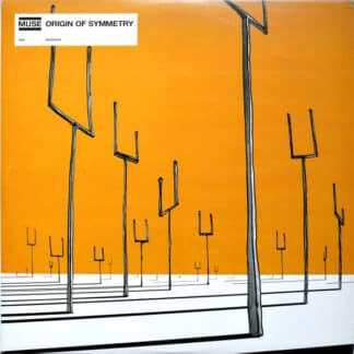 Origin Of Symmetry (2LP)
