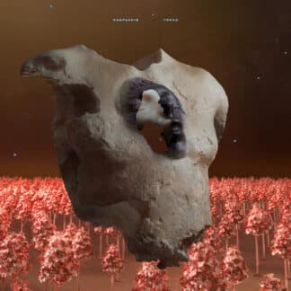 Torso (2LP)