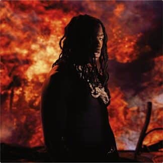 Apocalypse (2LP green)
