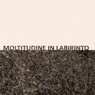 Moltitudine In Labirinto
